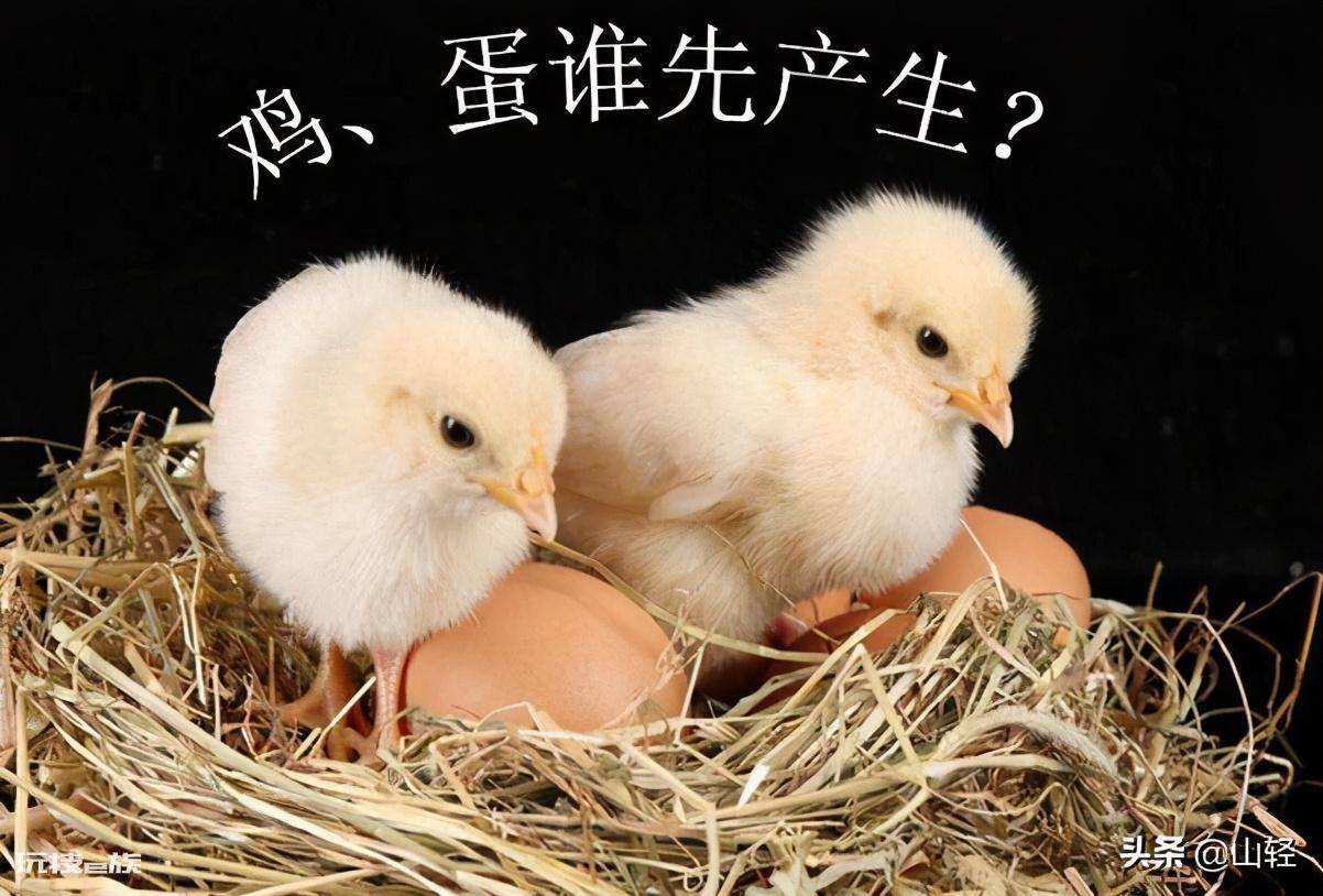 先有的鸡还是有的蛋的回答(为您揭晓两种答案)-图片2
